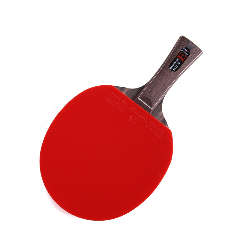 레무리아 에벤홀츠-탁구 라켓, 핌플스인 고무로 접착,  - Table Tennis Forehand Rubber 리뷰 및 가격