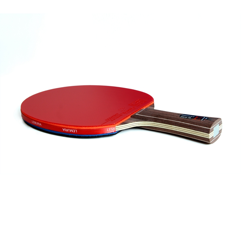 레무리아 에벤홀츠-탁구 라켓, 핌플스인 고무로 접착,  - Table Tennis Forehand Rubber 리뷰 및 가격